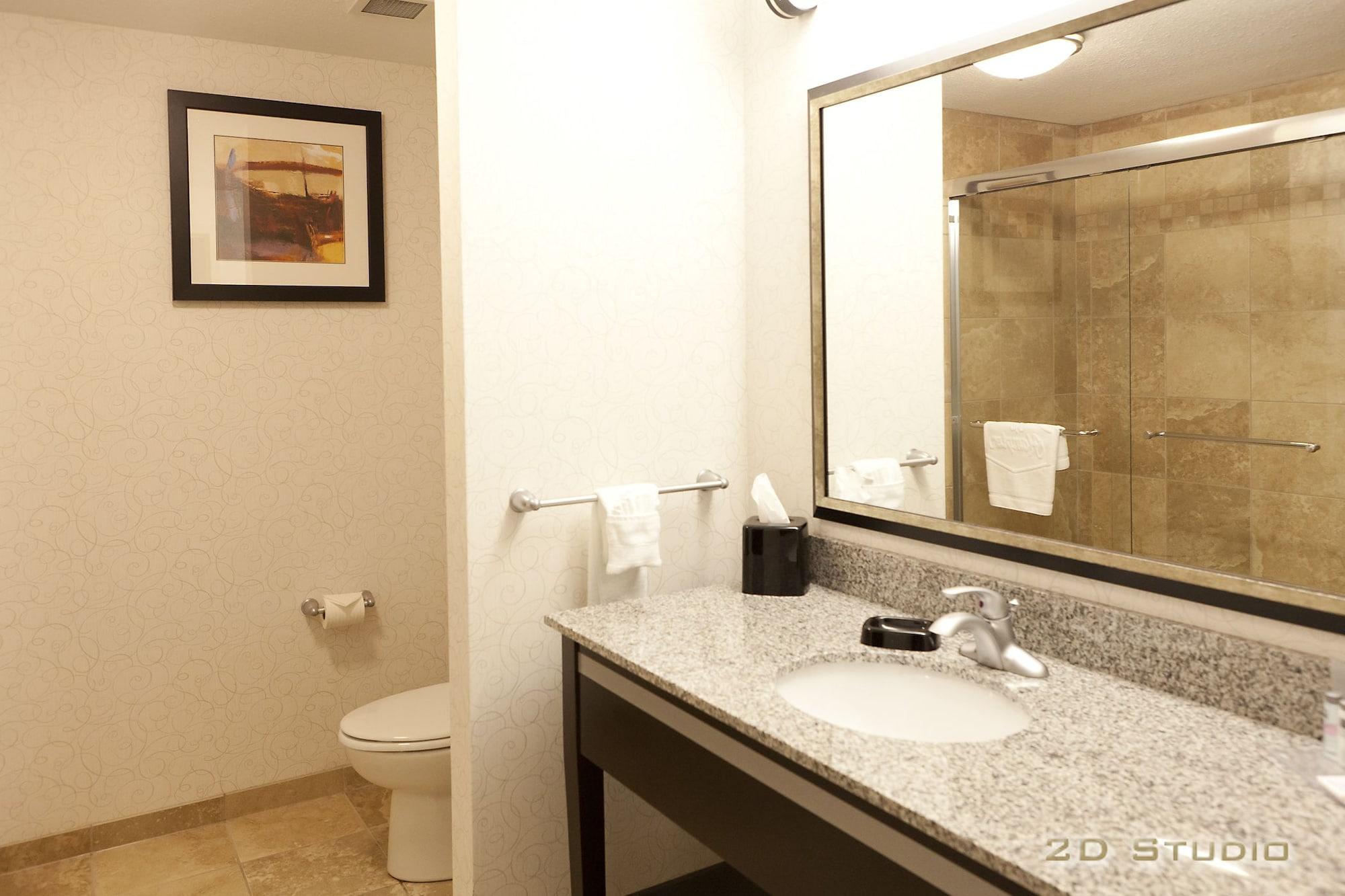 Hampton Inn & Suites By Hilton Lethbridge Exteriér fotografie
